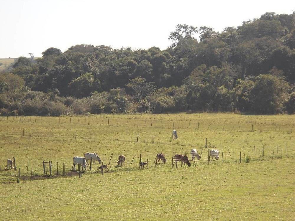 Hotel Fazenda Recanto Do Monte Alegre ピラジュ エクステリア 写真