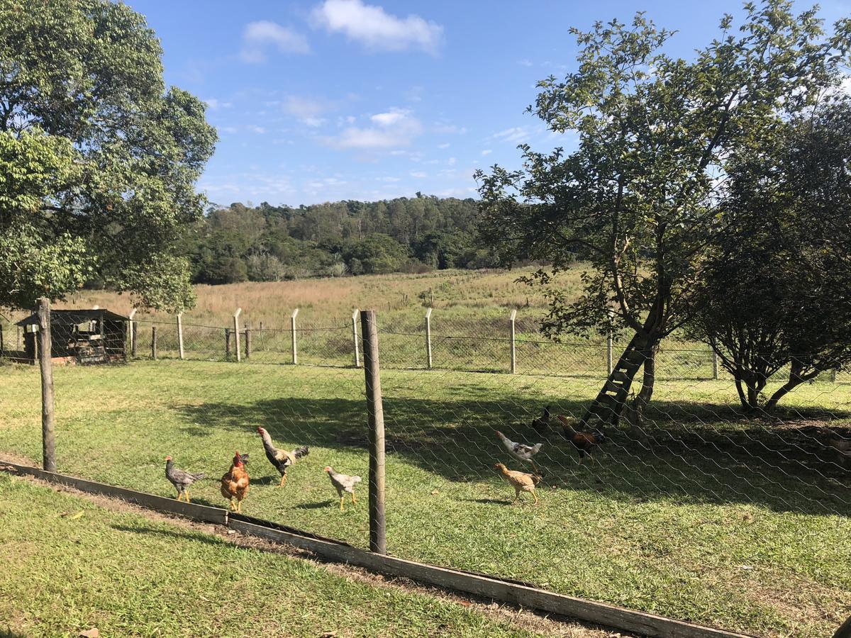 Hotel Fazenda Recanto Do Monte Alegre ピラジュ エクステリア 写真