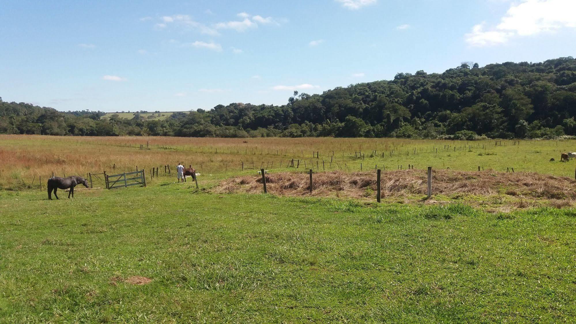 Hotel Fazenda Recanto Do Monte Alegre ピラジュ エクステリア 写真